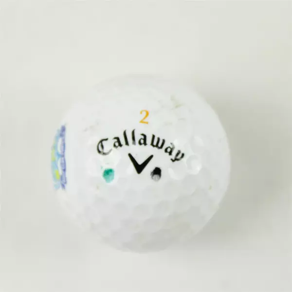Vintage Callaway Warbird #2 Punta Ala Italy Souvenir Golf Ball Used