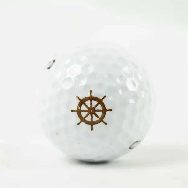 Lot of 8 Souvenir Golf Balls Callaway Titleist Maxfli Used