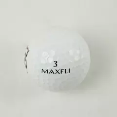 MaxiFli Arkansas State University ASU Souvenir Golf Ball - Used