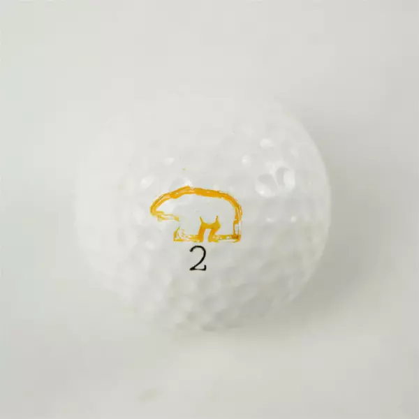 Vintage MacGregor Golden Bear Nicklaus Souvenir Golf Ball Used