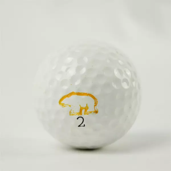 Vintage MacGregor Golden Bear Nicklaus Souvenir Golf Ball Used