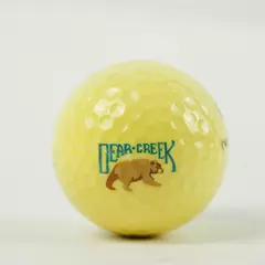 Vintage Spalding Bear Creek Souvenir Golf Ball Used