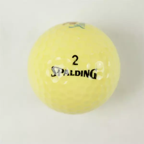 Vintage Spalding Bear Creek Souvenir Golf Ball Used
