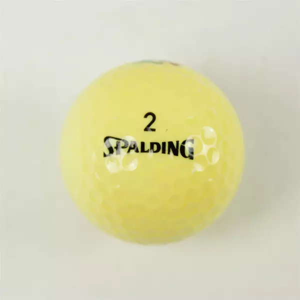Vintage Spalding Bear Creek Souvenir Golf Ball Used
