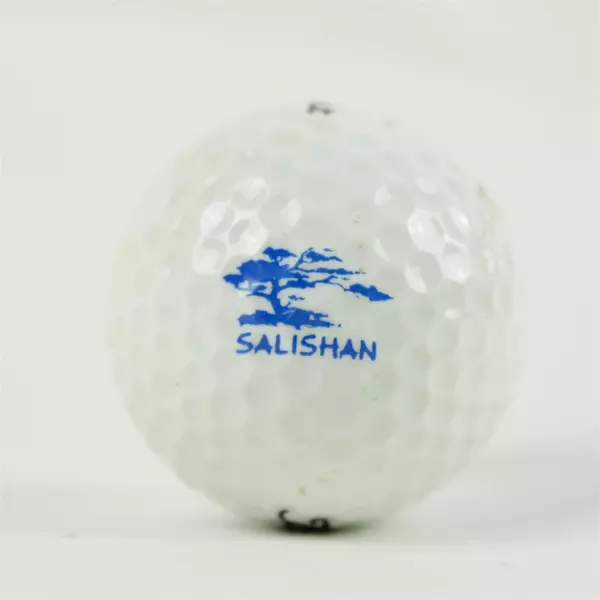 Vintage Titleist Salishan Lincoln Beach  Oregon Souvenir Golf Ball Used