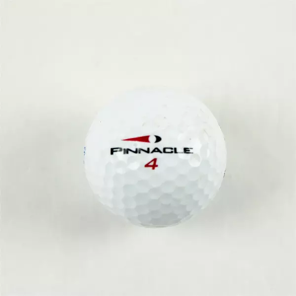 Pinnacle Neskowin Beach Souvenir Golf Ball - Used Golf Memorabilia
