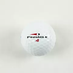 Pinnacle Neskowin Beach Souvenir Golf Ball - Used Golf Memorabilia