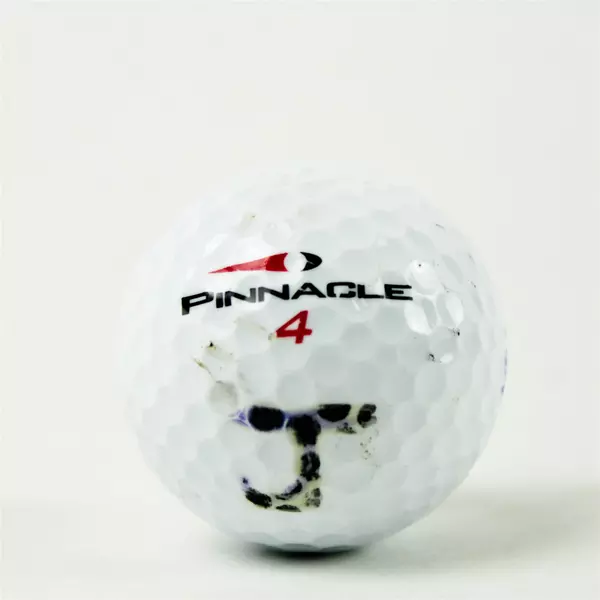 Pinnacle Neskowin Beach Souvenir Golf Ball - Used Golf Memorabilia