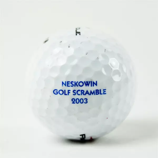 Pinnacle Neskowin Beach Souvenir Golf Ball - Used Golf Memorabilia