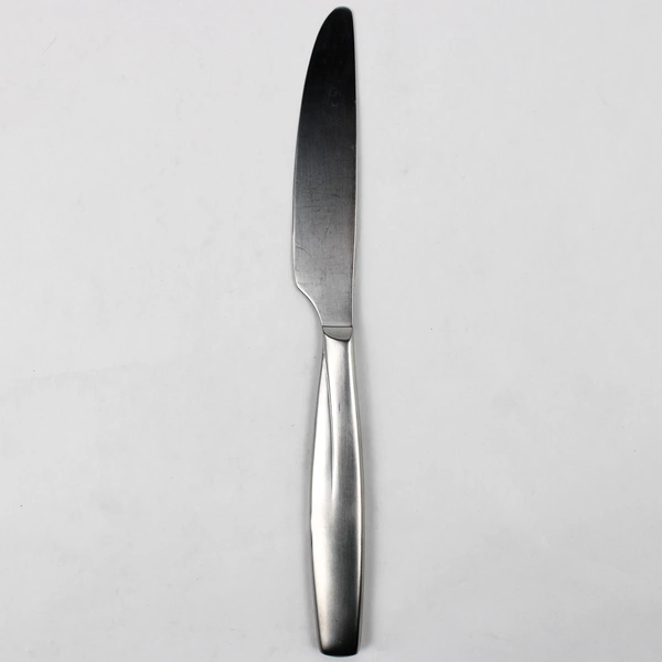 Gourmet Settings Veil Pattern Stainless Steel Dinner Knife Rare HTF Pattern Good