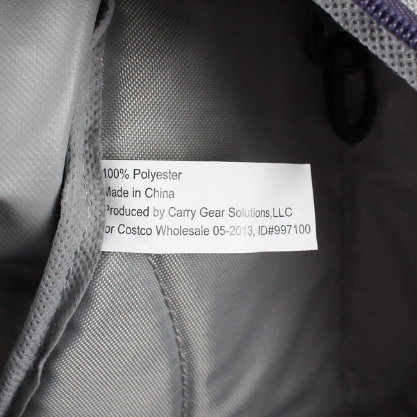 Carry Gear Multicolor Burst Graphic Kids School Backpack