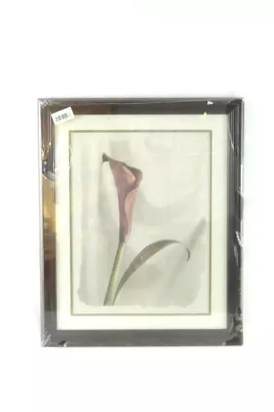 Framed Purple Calla Lily Art Print Cherry Wood Frame 22.5x18.5in Factory Sealed