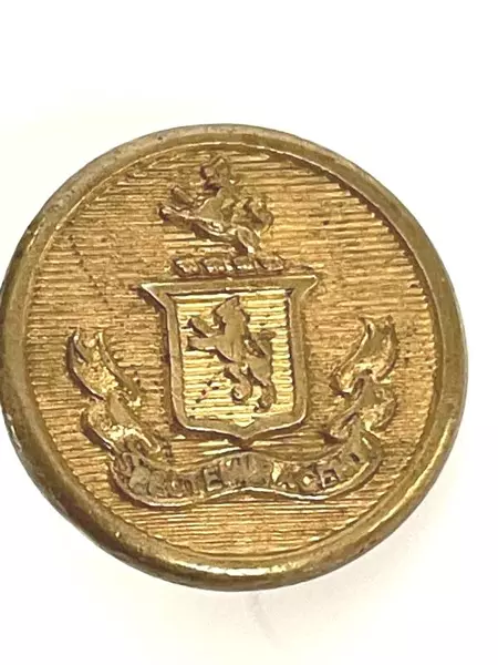 Vintage Round Superior Quality Brass Blazer Button Made In England Lion Crest
