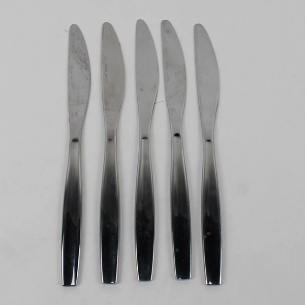 Lot Of 5 Gourmet Settings Loft (Stainless) Flatware Dinner Knives 9.75" Long