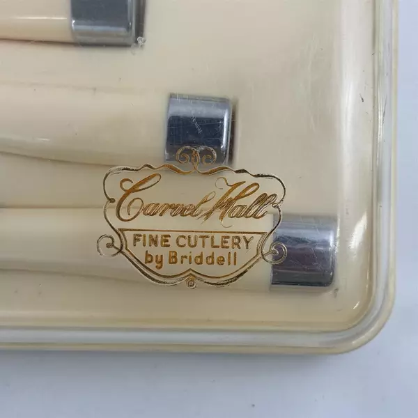 Vtg Briddell 3-Piece Carvel Hall Carving Knife Set Acrylic Handles Plastic Case