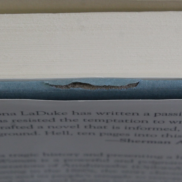 Last Standing Woman by Winona LaDuke 1997 Hardcover Novel Dust Jacket 