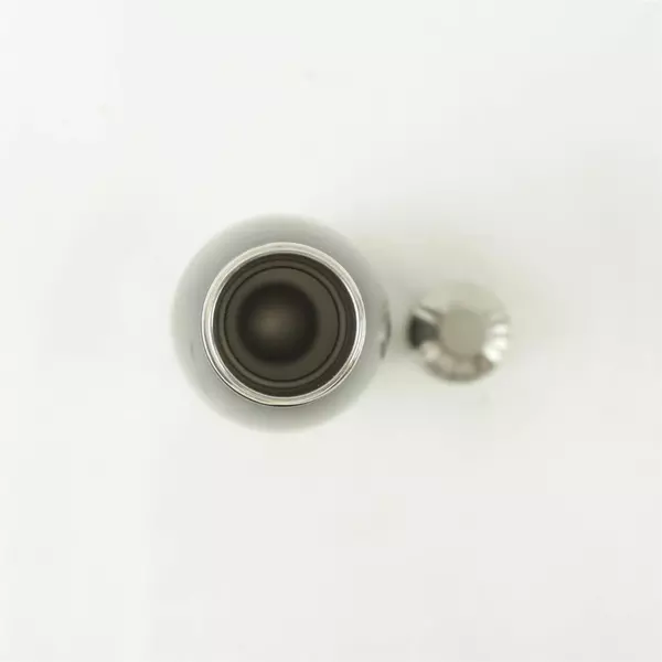 H2Go 17oz Stainless Steel Insulated Water Bottle