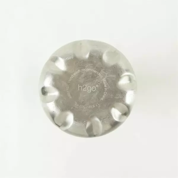 H2Go 17oz Stainless Steel Insulated Water Bottle