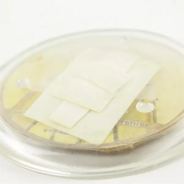 Vintage Warsteiner Beer Coaster Retro Bar Collectible Coaster