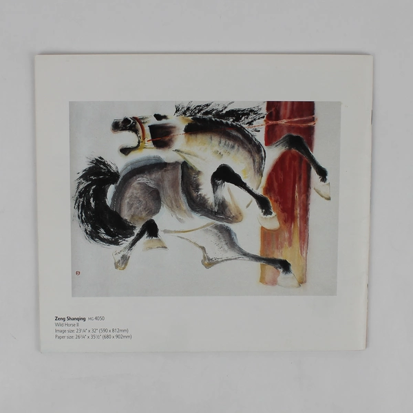 The Goedhuis Collection of Contemporary Asian Art Prints (1999, Paperback)