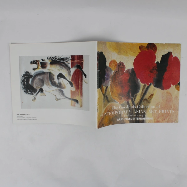 The Goedhuis Collection of Contemporary Asian Art Prints (1999, Paperback)