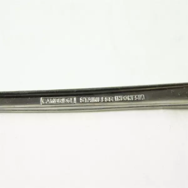 Lot of 2 Cambridge Codie Iced Teaspoons Stainless Glossy Silverware