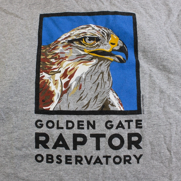 Gildan Golden Gate Raptor Observatory Gray Short-Sleeved T-Shirt Men's Size XL