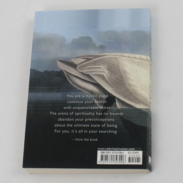 Hampton Roads Publishing Rumi Day by Day by Maryam Mafi PB