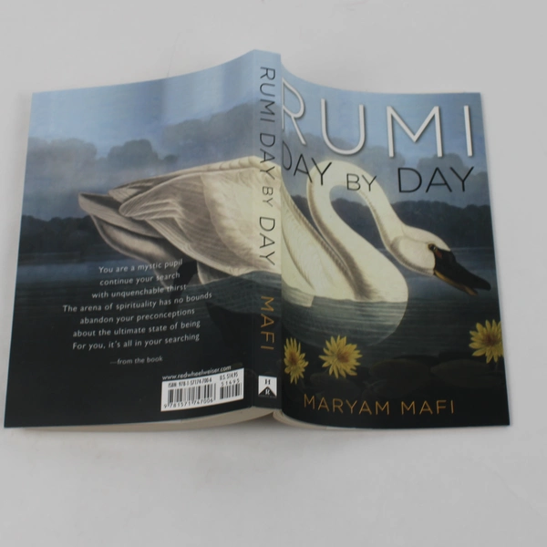 Hampton Roads Publishing Rumi Day by Day by Maryam Mafi PB