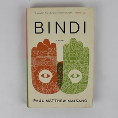 Bindi by Paul Matthew Maisano A Novel 2018 1st Edition Hardcover Dust Jacket