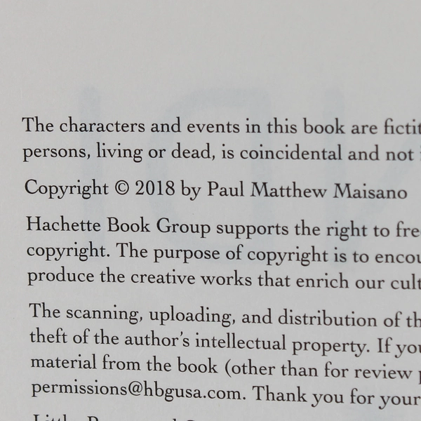 Bindi by Paul Matthew Maisano A Novel 2018 1st Edition Hardcover Dust Jacket