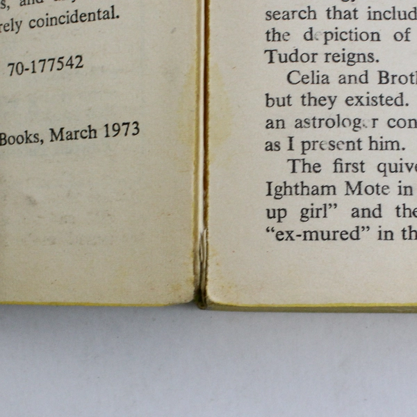 Vintage Green Darkness by Anya Seton 1974 Paperback