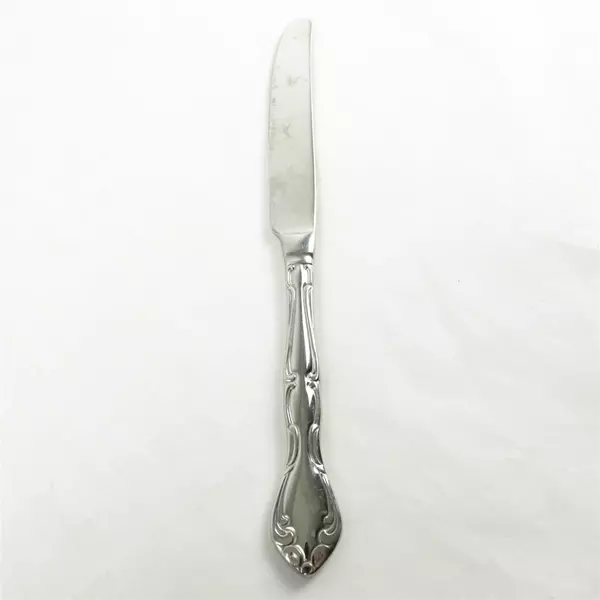Lot of 2 Oneida Andrina Stainless French Solid Knife & Teaspoon