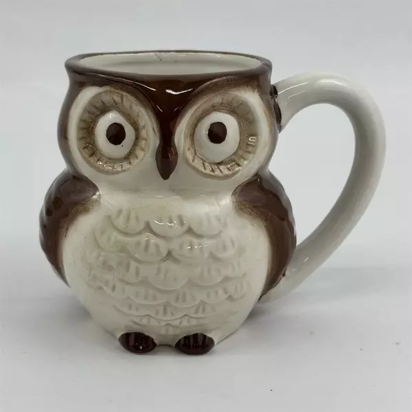 World Market Owl Coffee Cup Mug with Fun Baby Owl Inside 12 oz Ceramic