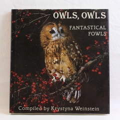 Owls Owls Fantastical Fowls Compiled by Krystyna Weinstein 1985 Hardcover DJ 