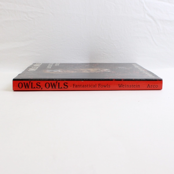 Owls Owls Fantastical Fowls Compiled by Krystyna Weinstein 1985 Hardcover DJ 