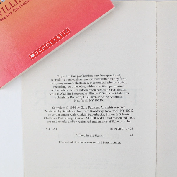 Lot of 2 Scholastic Books Young Readers Tracker One Crazy Summer Paperback