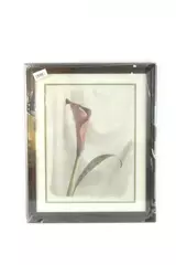 Framed Purple Calla Lily Art Print Cherry Wood Frame 22.5x18.5in Factory Sealed