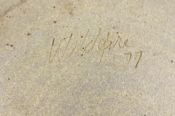 Hand Crafted Elaine's Gourmet Delights 1977 Pottery Bowl 12in Studio Art