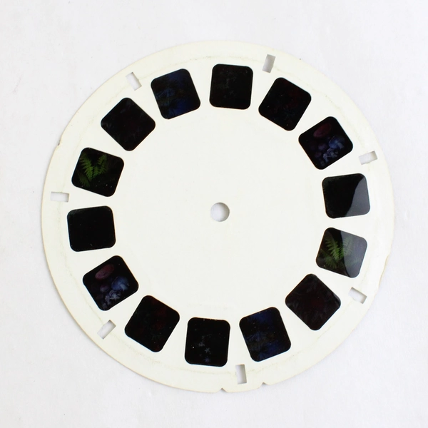 View-Master Vintage The Plant Kingdom Reel 1969