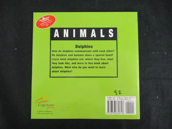 Vintage Dolphins by Kevin J. Holmes 1998 Children's Book - Good Condition