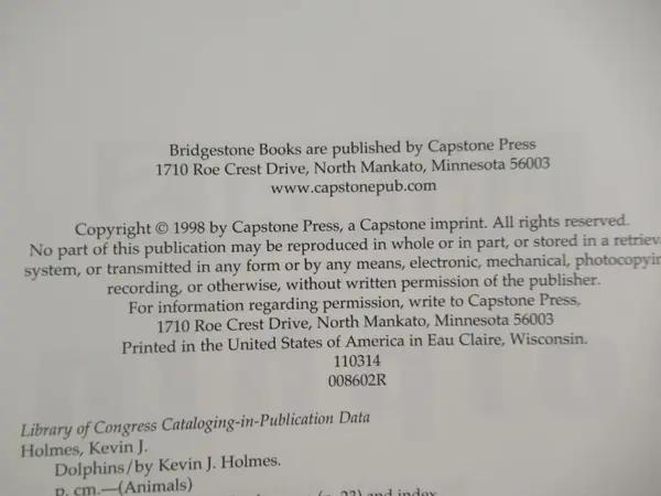 Vintage Dolphins by Kevin J. Holmes 1998 Children's Book - Good Condition