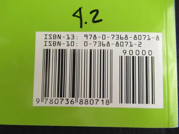 Vintage Dolphins by Kevin J. Holmes 1998 Children's Book - Good Condition