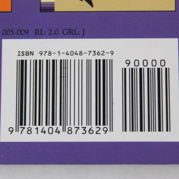 The Pied Piper by Eric Blair 2011 Children's Book - Pre-Owned Classic