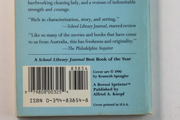 The Other Side of the Family by Maureen Pople Paperback 1990 Knopf Good Cond