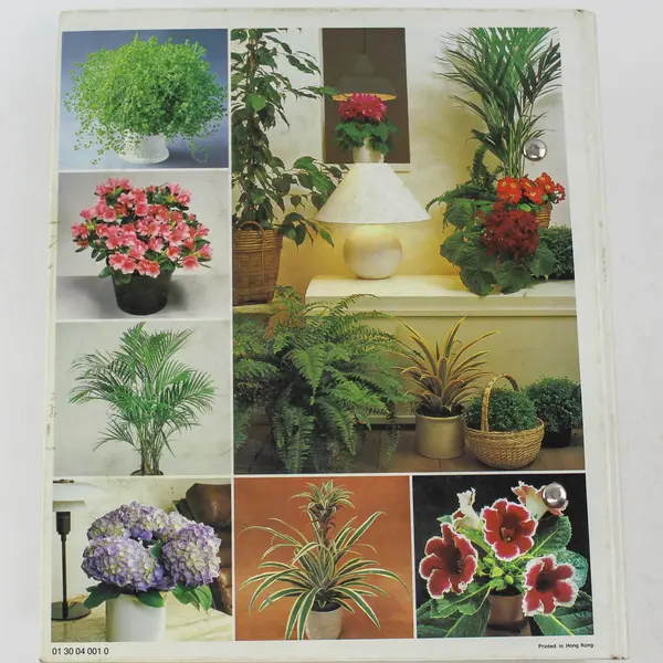 Success With House Plants Copyright 1985 Hardcover Illustrated Book