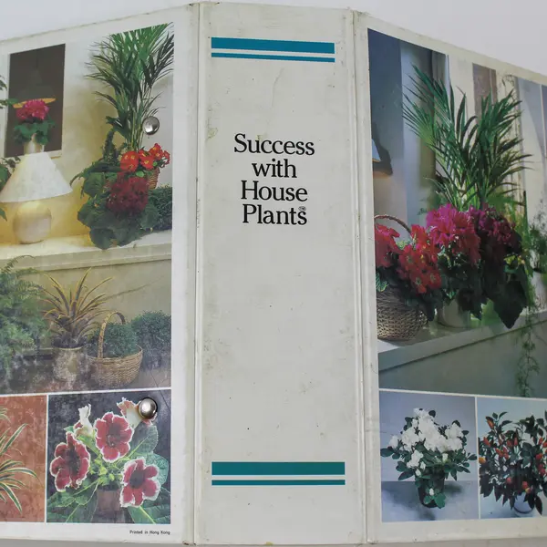 Success With House Plants Copyright 1985 Hardcover Illustrated Book