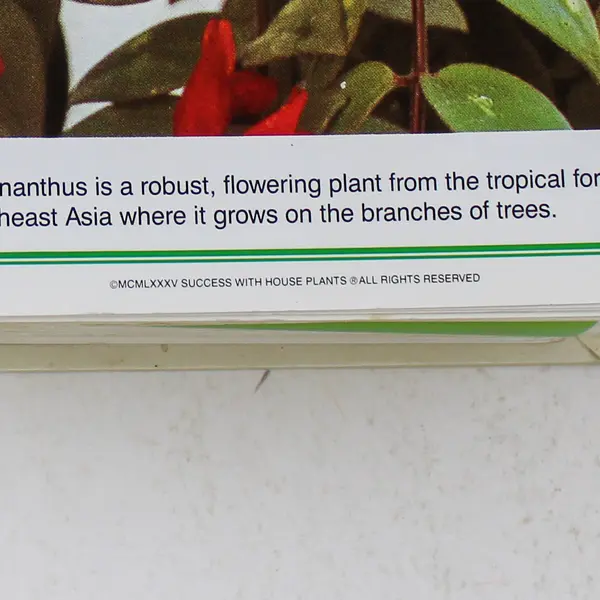 Success With House Plants Copyright 1985 Hardcover Illustrated Book