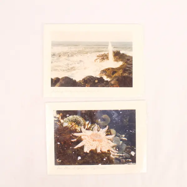 Lot of 2 Sealed Mona Lee Oregon Greeting Cards with Envelopes