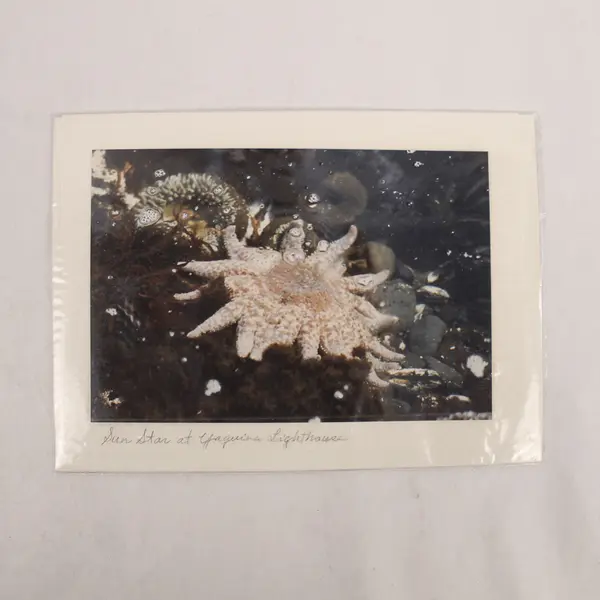 Lot of 2 Sealed Mona Lee Oregon Greeting Cards with Envelopes